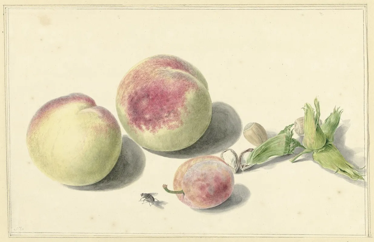 Perziken Noten Een Pruim En Een Vlieg After Michiel Van Huysum Wall Art by Elisabeth Geertruida van de Kasteele - High-Resolution Digital Print
