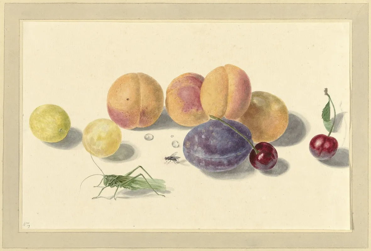 Perziken Pruimen Kersen En Twee Insecten After Michiel Van Huysum Wall Art by Elisabeth Geertruida van de Kasteele - High-Resolution Digital Print