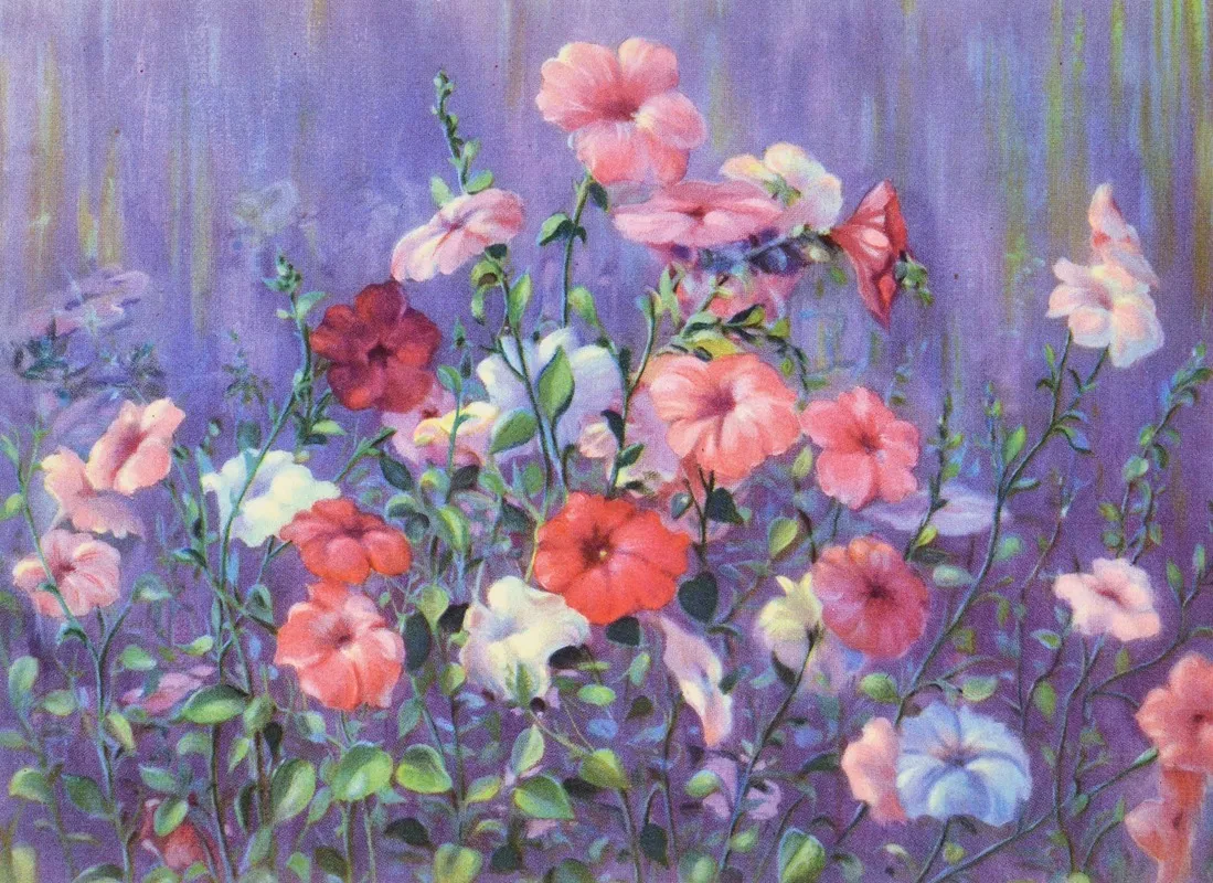 Petunia Wall Art by Lafayette F. Cargill - High-Resolution Digital Print