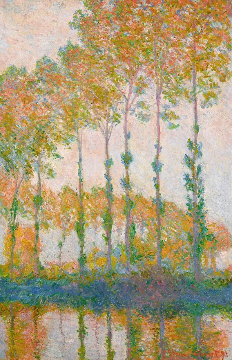 Peupliers Au Bord De Lepte Automne
