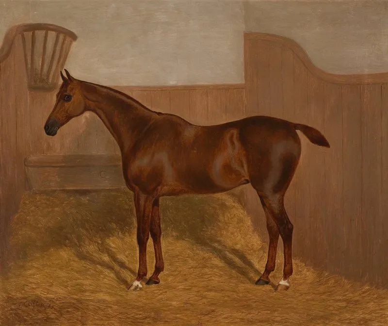 Pferdeportrait 2 Wall Art by F Clifton - High-Resolution Digital Print