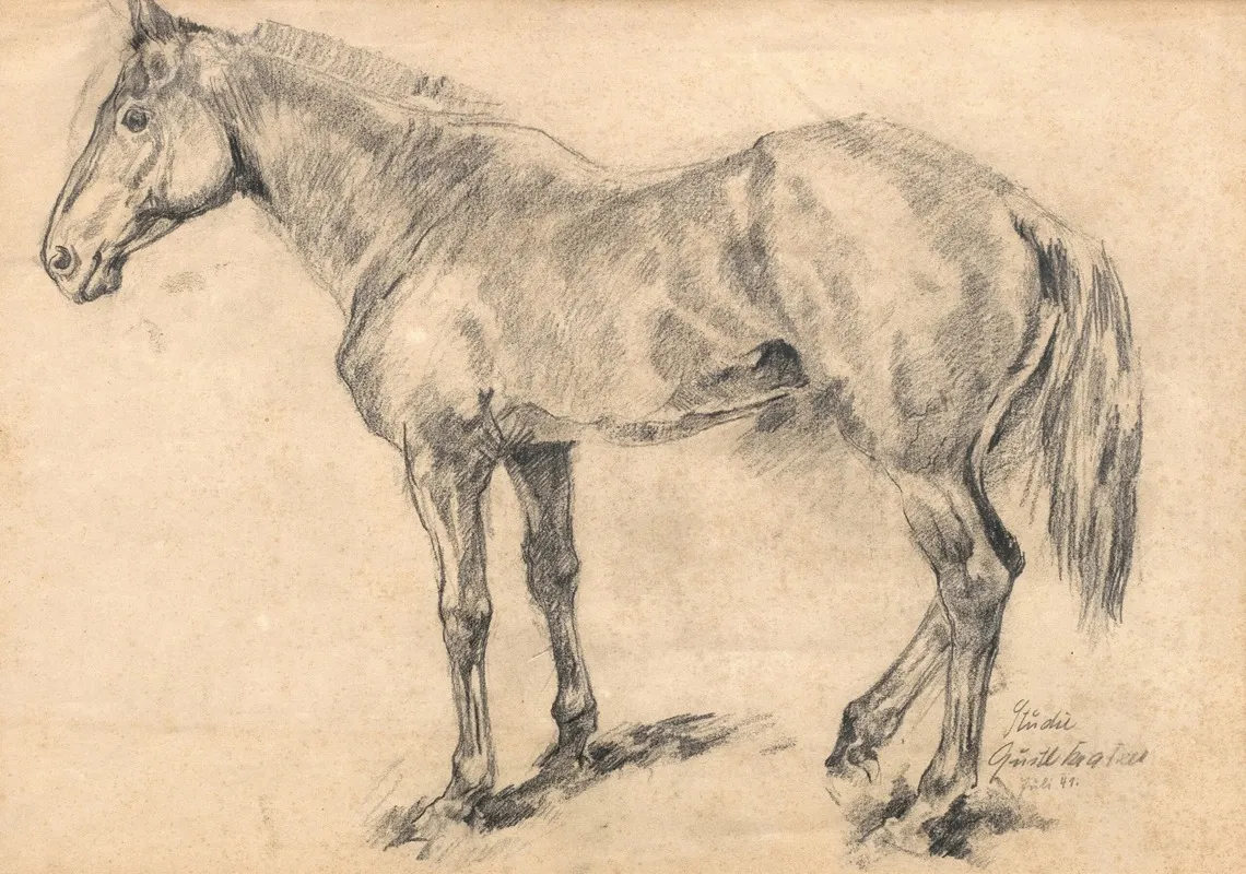 Pferdestudie 3