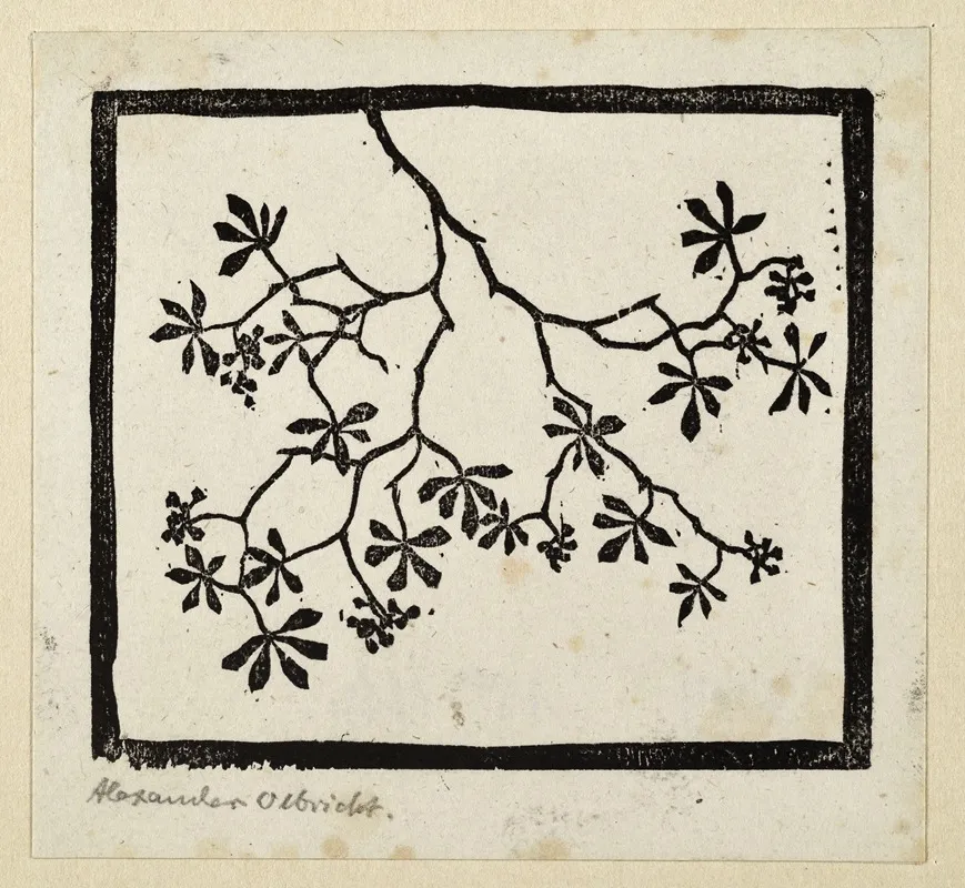 Pflanzen Und Pflanzenornament 14
