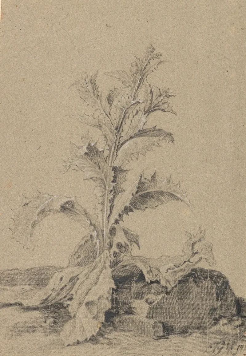 Pflanzenstudie Distel Wall Art by Johann Georg Mansfeld - High-Resolution Digital Print