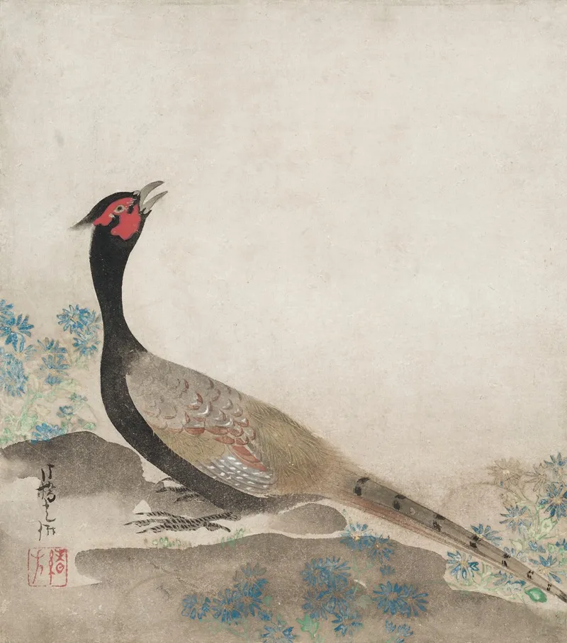Pheasant 2