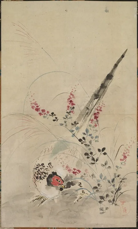 Pheasant And Grasses