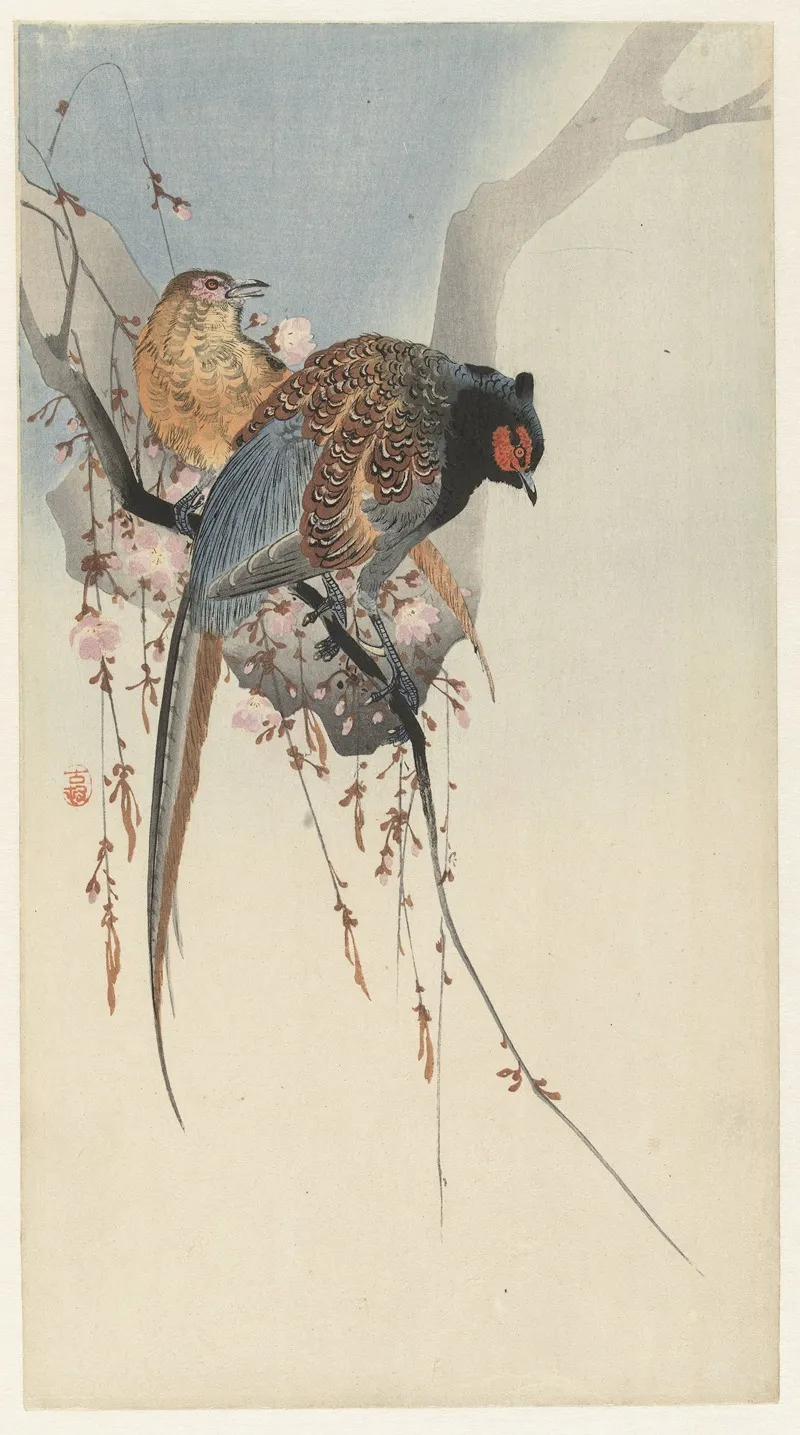 Pheasant Couple And Plum Blossom Wall Art by Ohara Koson - High-Resolution Digital Print