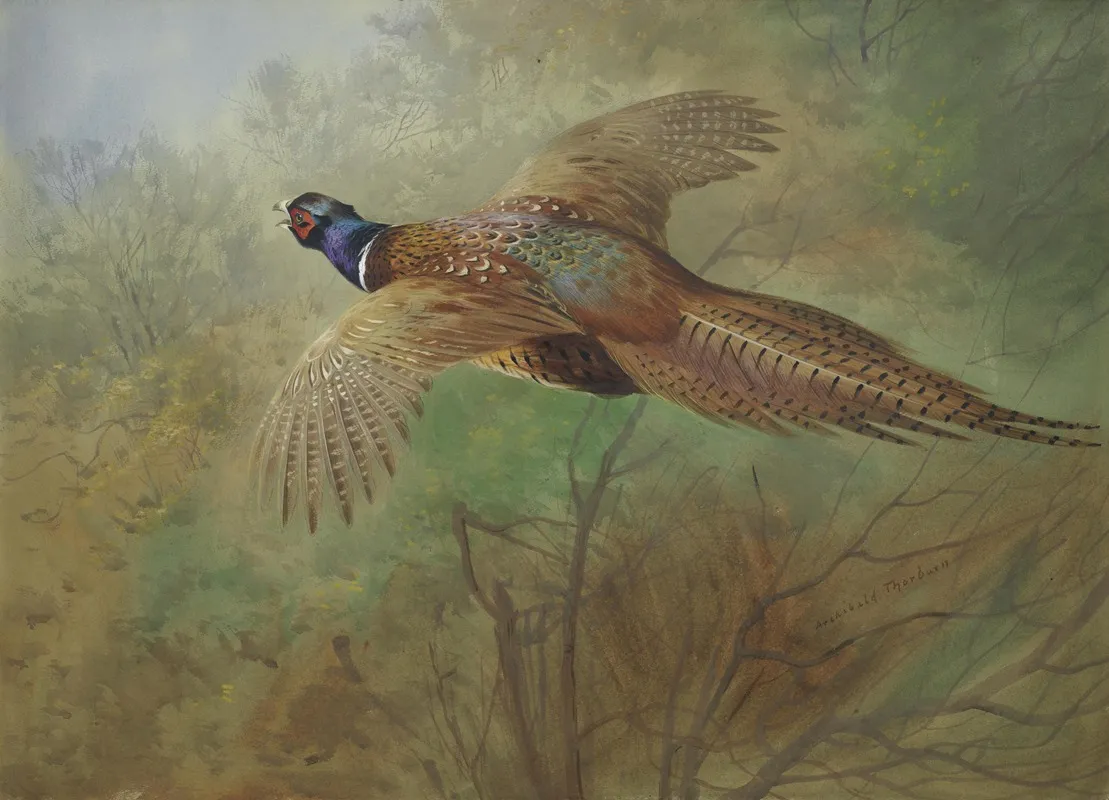 Pheasant In Flight Wall Art by Archibald Thorburn - High-Resolution Digital Print