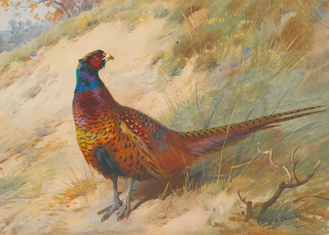 Pheasant Wall Art by Archibald Thorburn - High-Resolution Digital Print