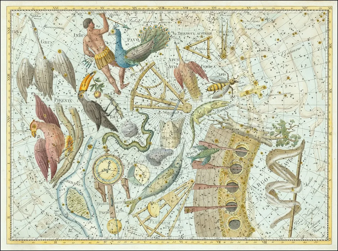 Phoenix Coelum Stellatum Wall Art by Johann Elert Bode - High-Resolution Digital Print