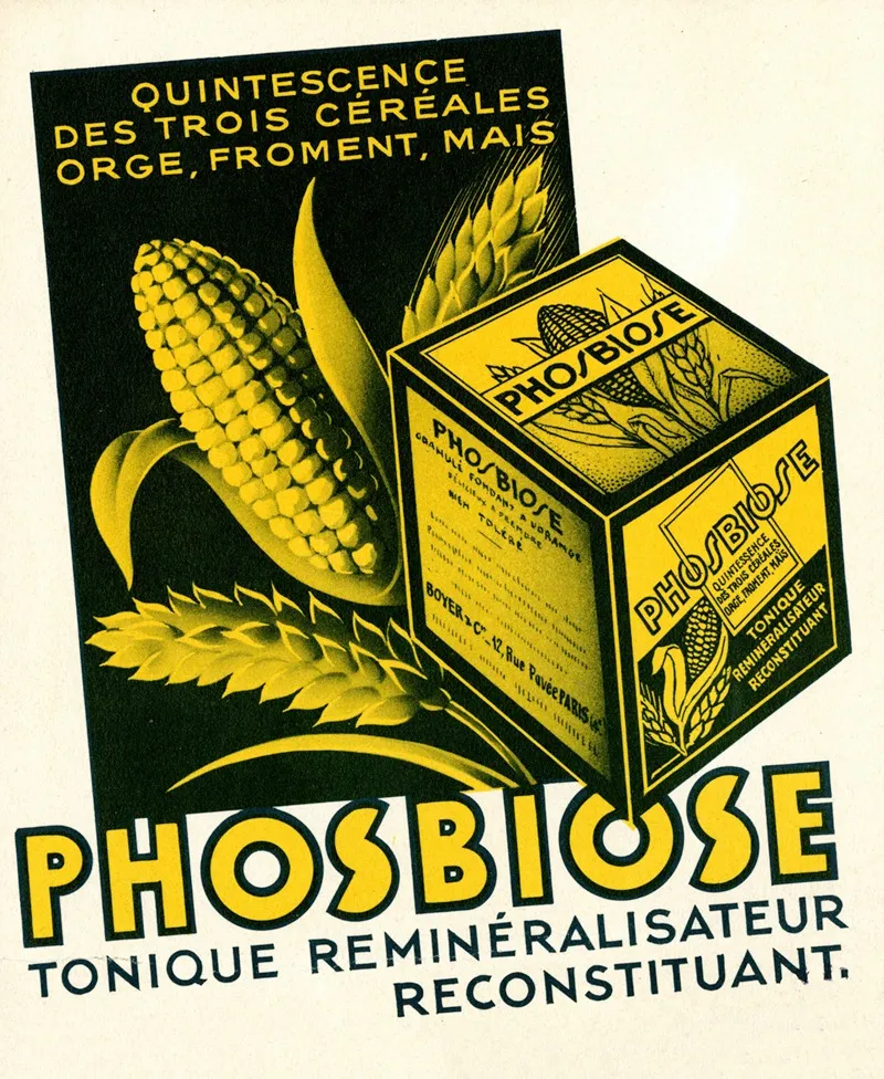 Phosbiose 2 Wall Art by Boyer &amp; Cie - High-Resolution Digital Print