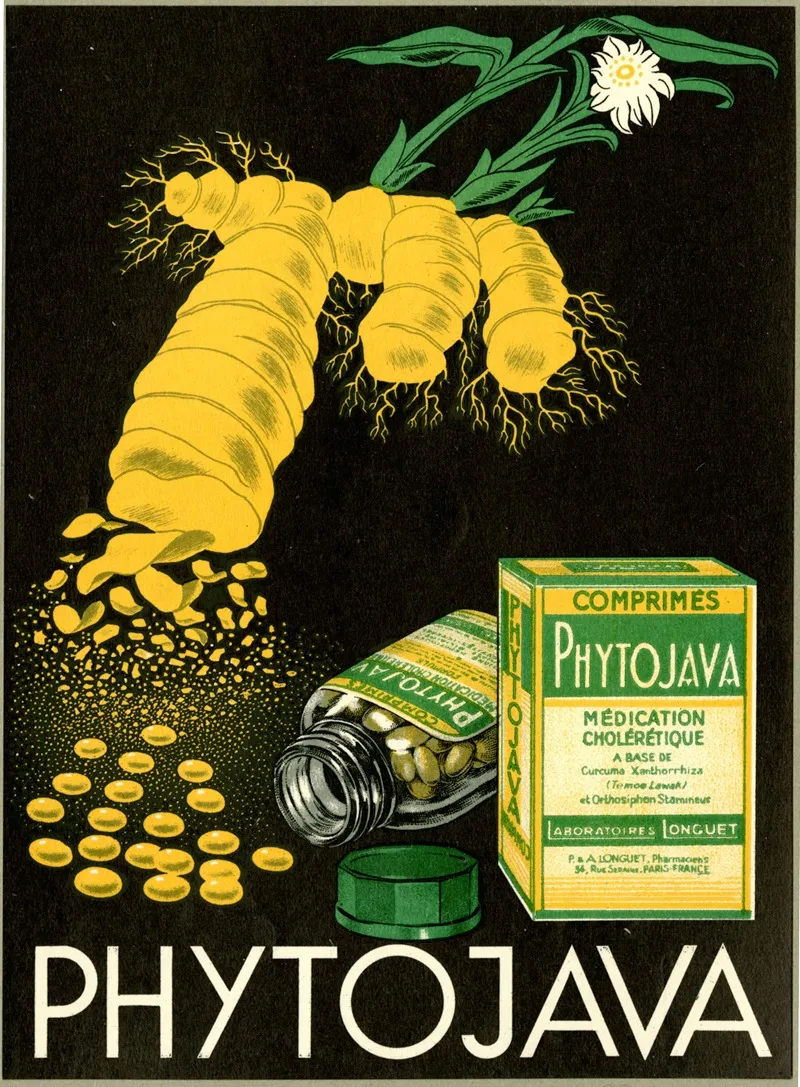 Phytojava 2 Wall Art by Laboratoires Longuet - High-Resolution Digital Print