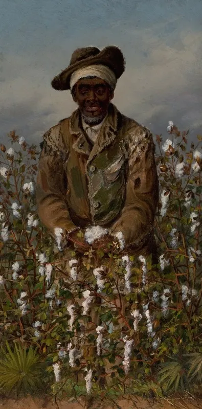 Pickin Cotton
