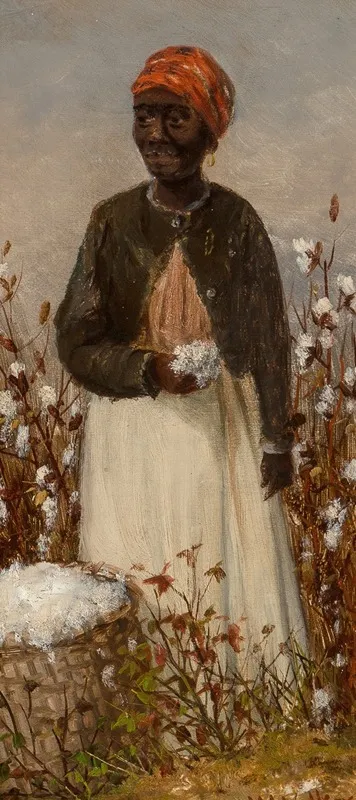 Picking Cotton 2