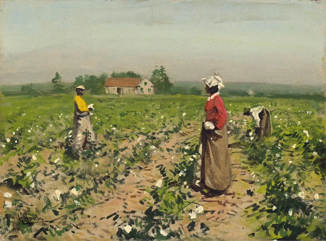 Picking Cotton