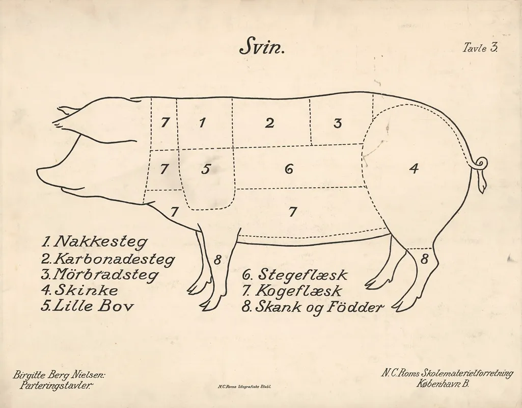Pig 2 Wall Art by Birgitte Berg Nielsen - High-Resolution Digital Print