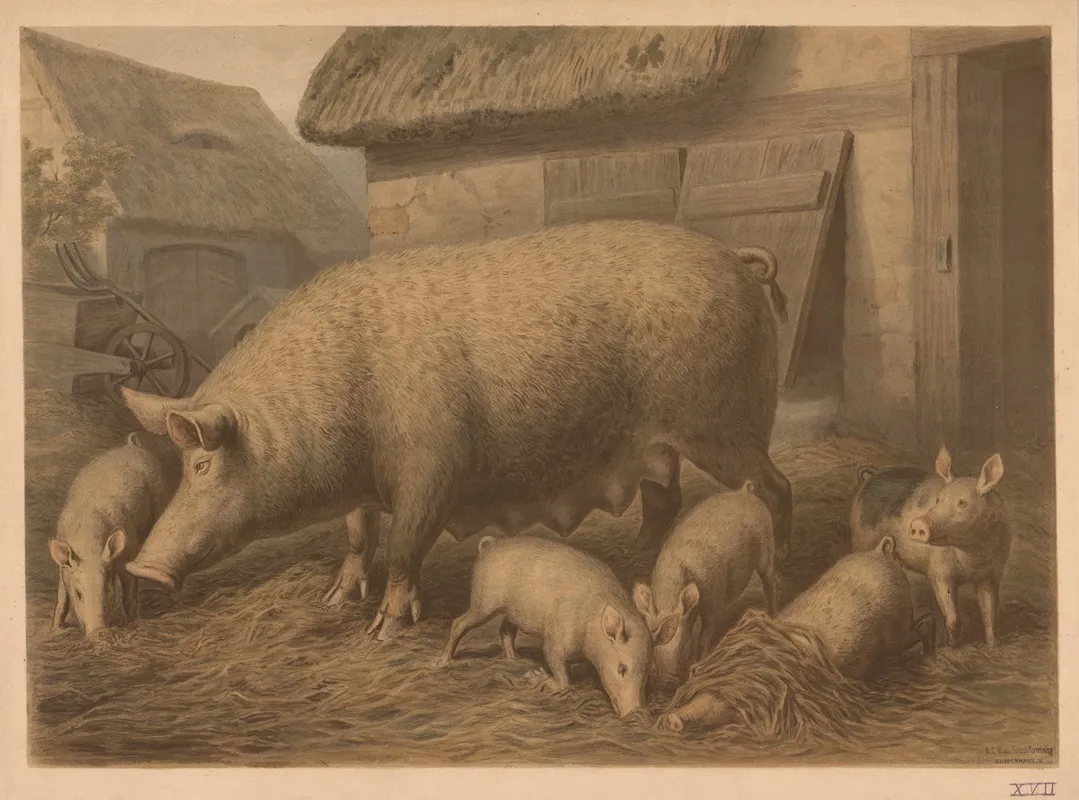 Pig 4 Wall Art by Emil Schmidt - High-Resolution Digital Print