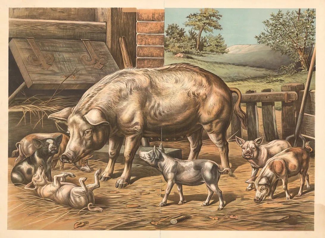 Pigs 5