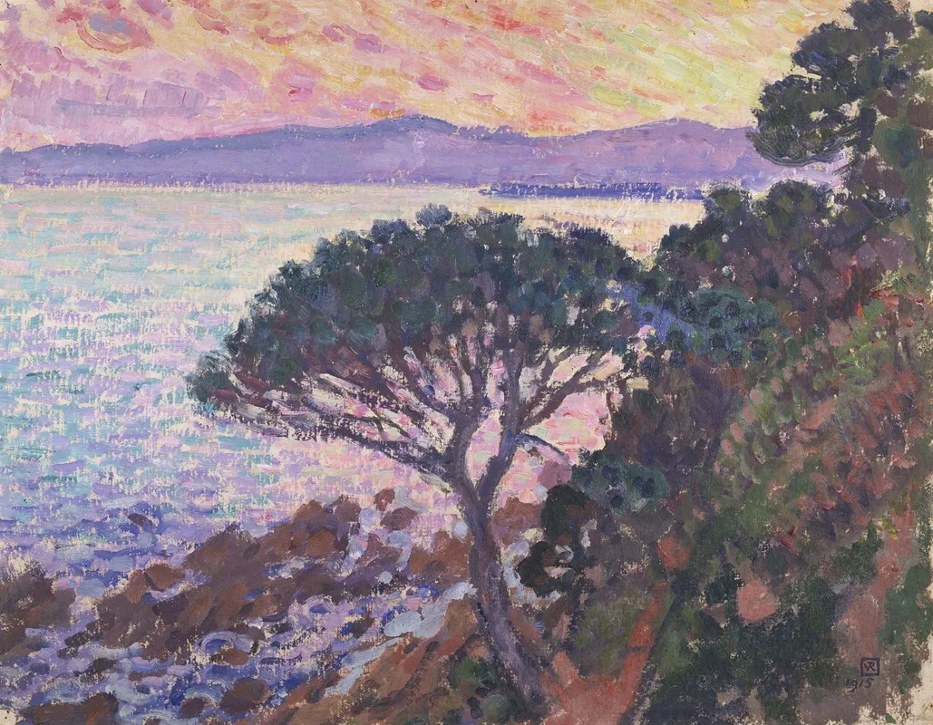 Pine Tree Near The Mediterranean Sea At Sunset