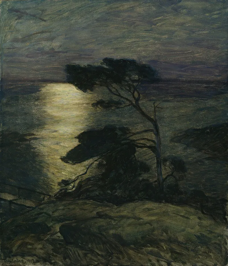 Pine Tree On The Coast In Moonlight