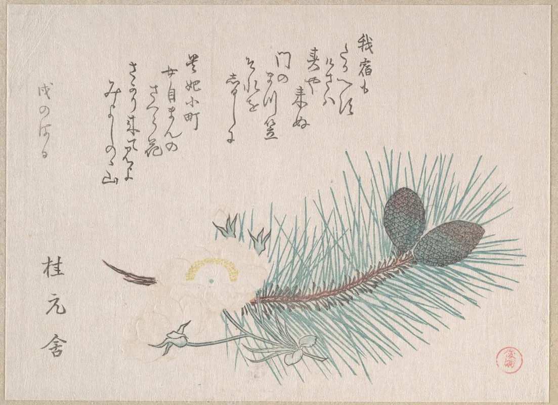Pines And Cherry Blossoms