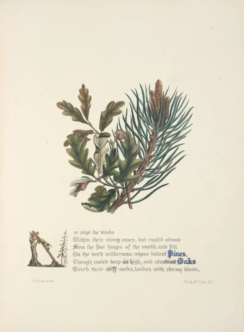 Pines And Oaks Wall Art by Jane Elizabeth Giraud - High-Resolution Digital Print