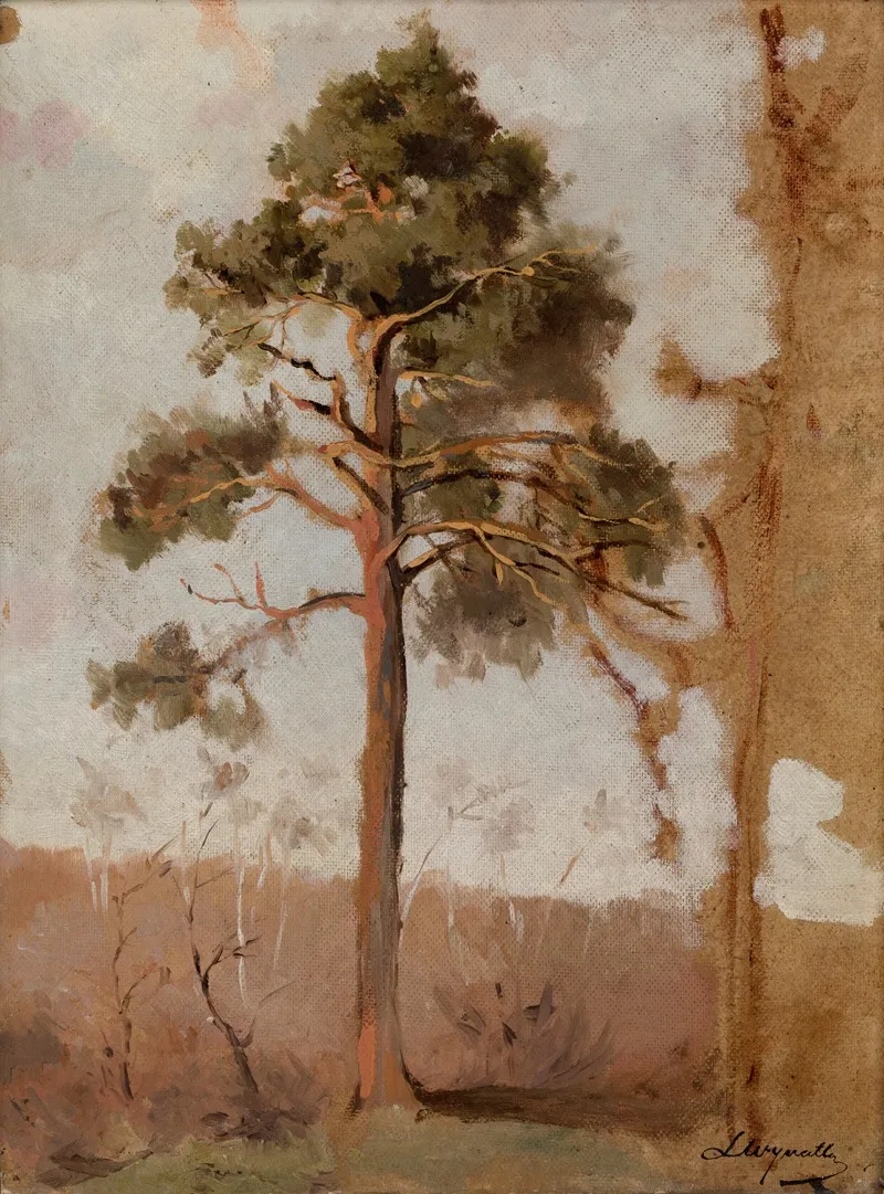 Pines At Polaga