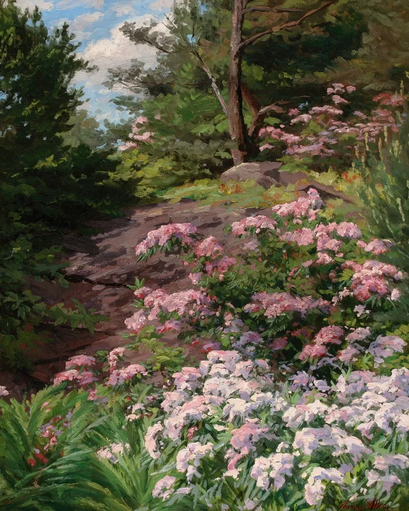 Pink And White Rhododendron In A Forest Wall Art by Thomas Allen, Jr. - High-Resolution Digital Print