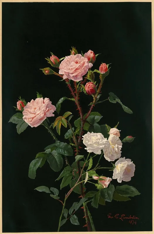 Pink And White Roses Wall Art by George Cochran Lambdin - High-Resolution Digital Print