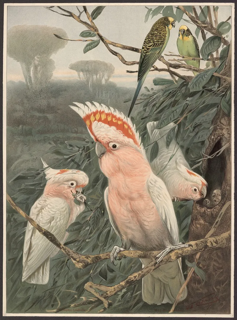 Pink Cockatoo 2 Wall Art by Wilhelm Kuhnert - High-Resolution Digital Print