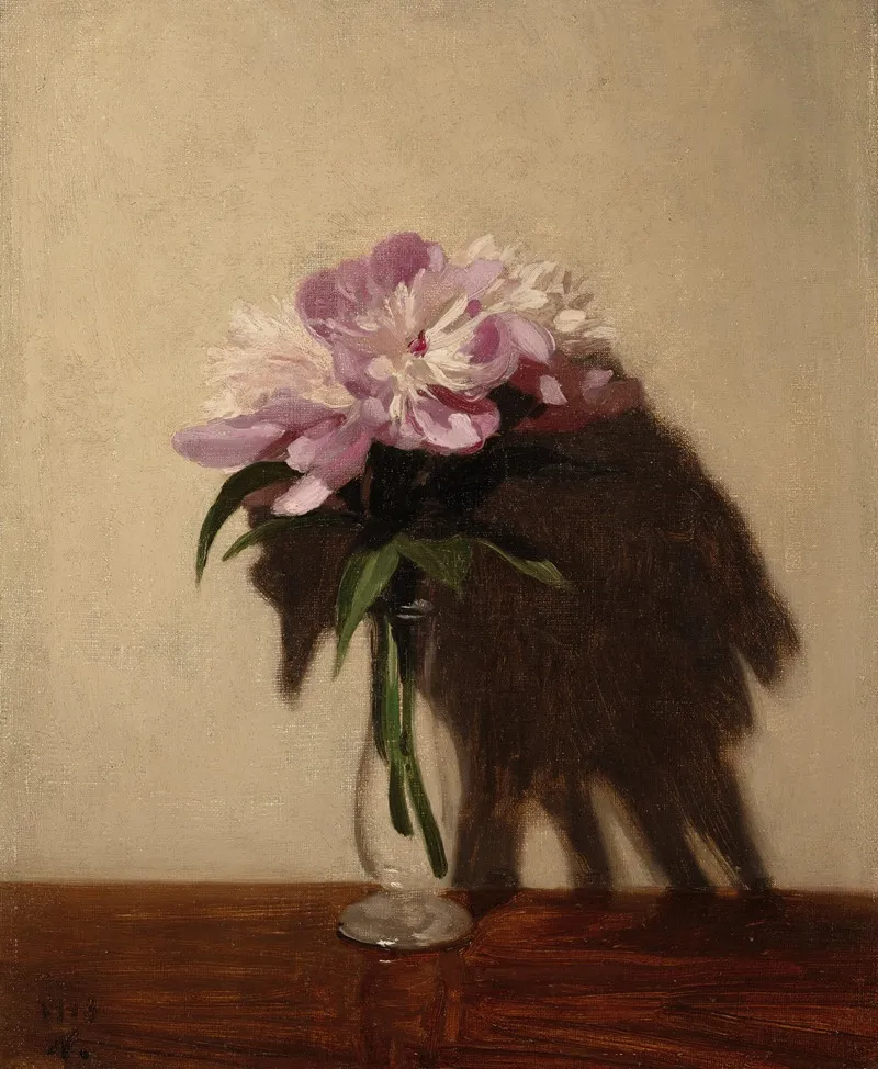 Pink Peonies