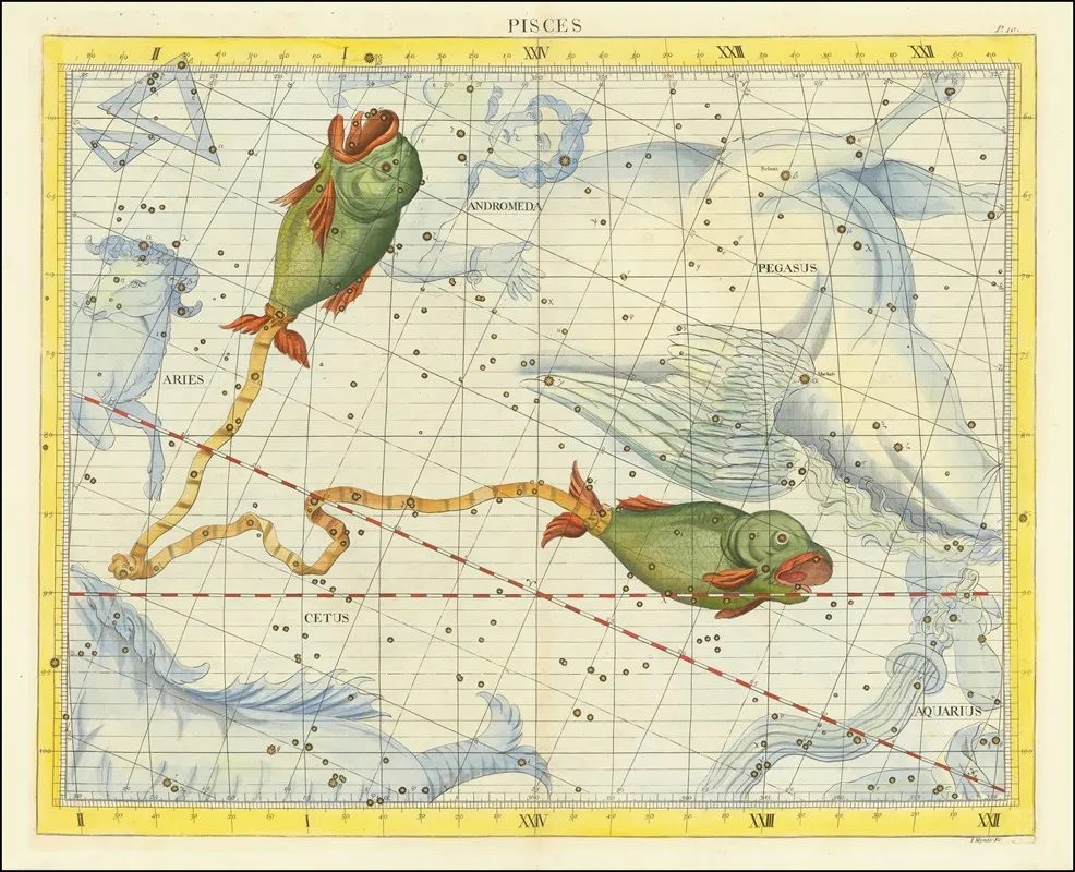 Pisces 2 Wall Art by John Flamsteed - High-Resolution Digital Print