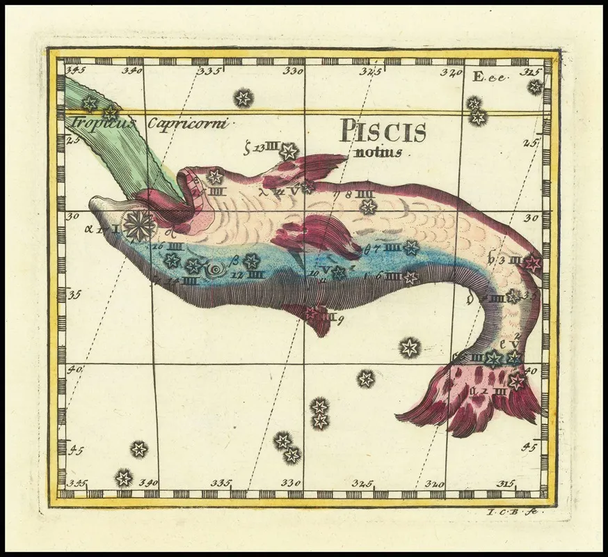 Piscis Notius Wall Art by Corbinian Thomas - High-Resolution Digital Print
