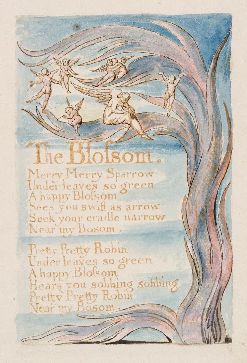 Pl 17 The Blossom