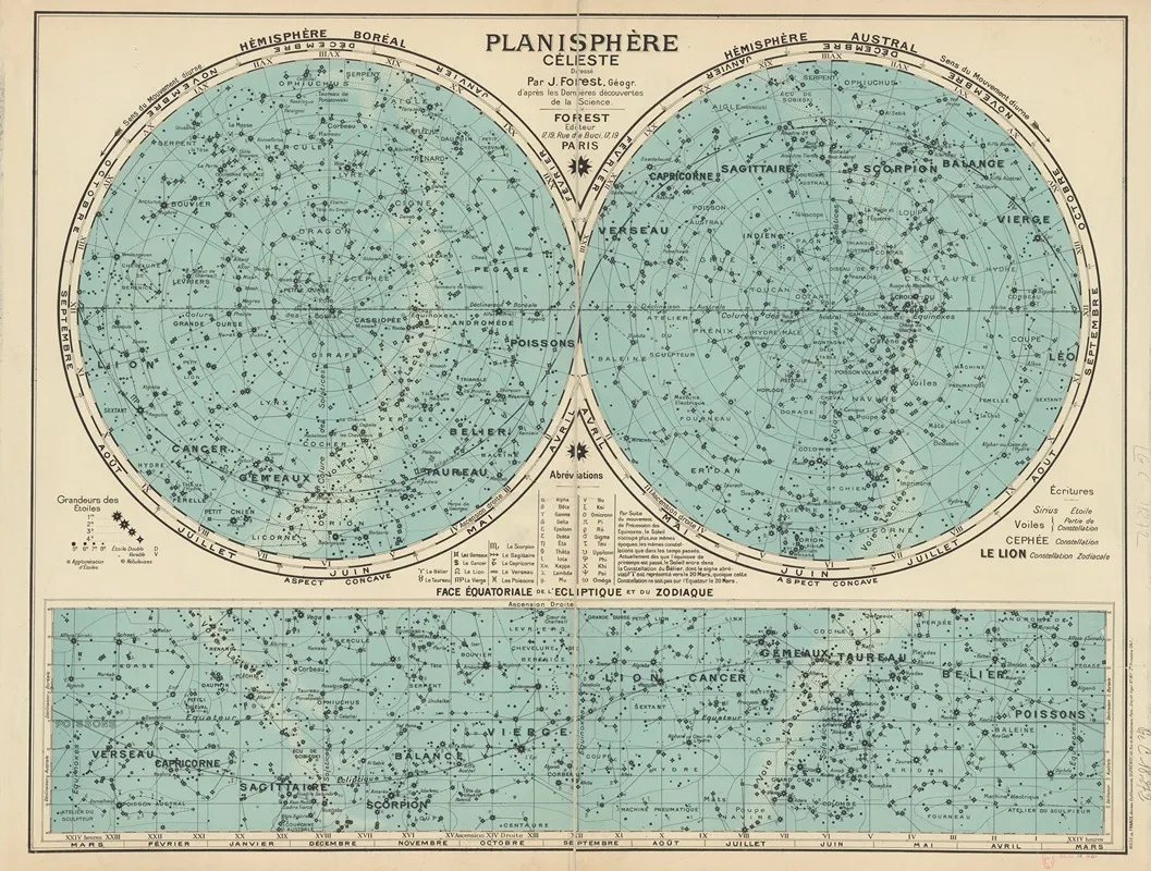 Planisphere Celeste Wall Art by Joseph Forest - High-Resolution Digital Print