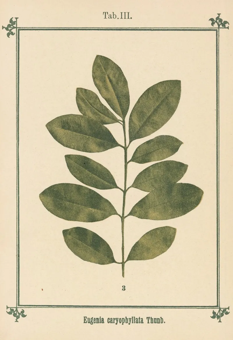 Plant Atlas To My Water Cure Pl 23 Wall Art by Sebastian Kneipp - High-Resolution Digital Print