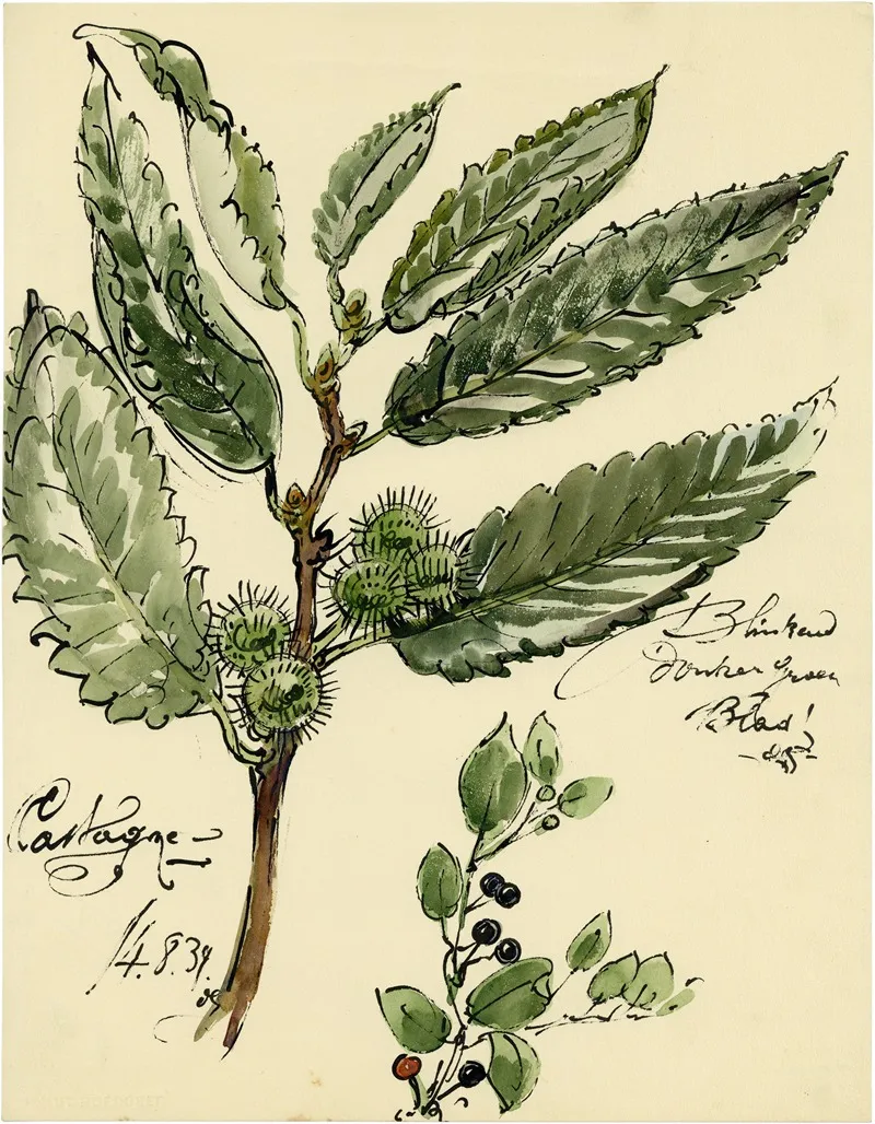 Planten 5 Wall Art by Alfred Ost - High-Resolution Digital Print