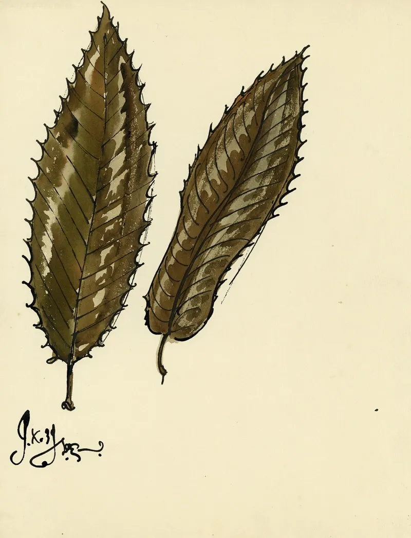 Planten 6 Wall Art by Alfred Ost - High-Resolution Digital Print