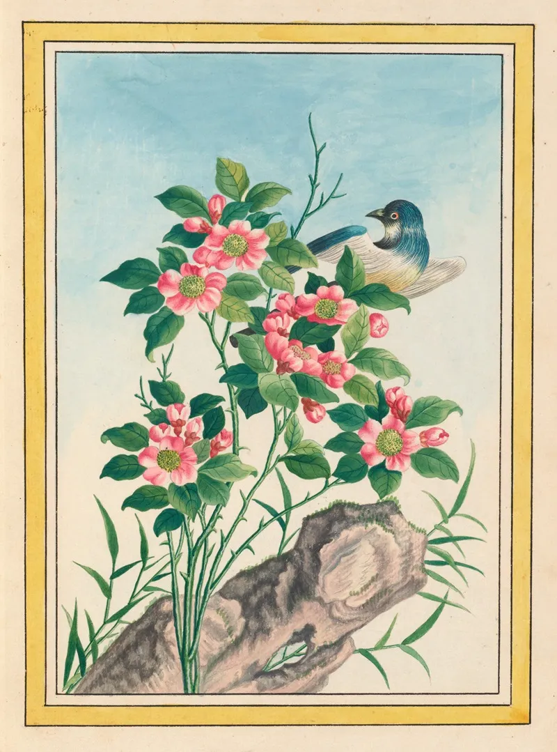 Plantes De Chine Pl 006 Wall Art by Pierre Joseph Buchoz - High-Resolution Digital Print