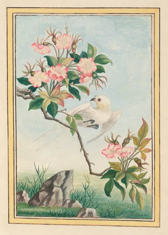 Plantes De Chine Pl 007 Wall Art by Pierre Joseph Buchoz - High-Resolution Digital Print