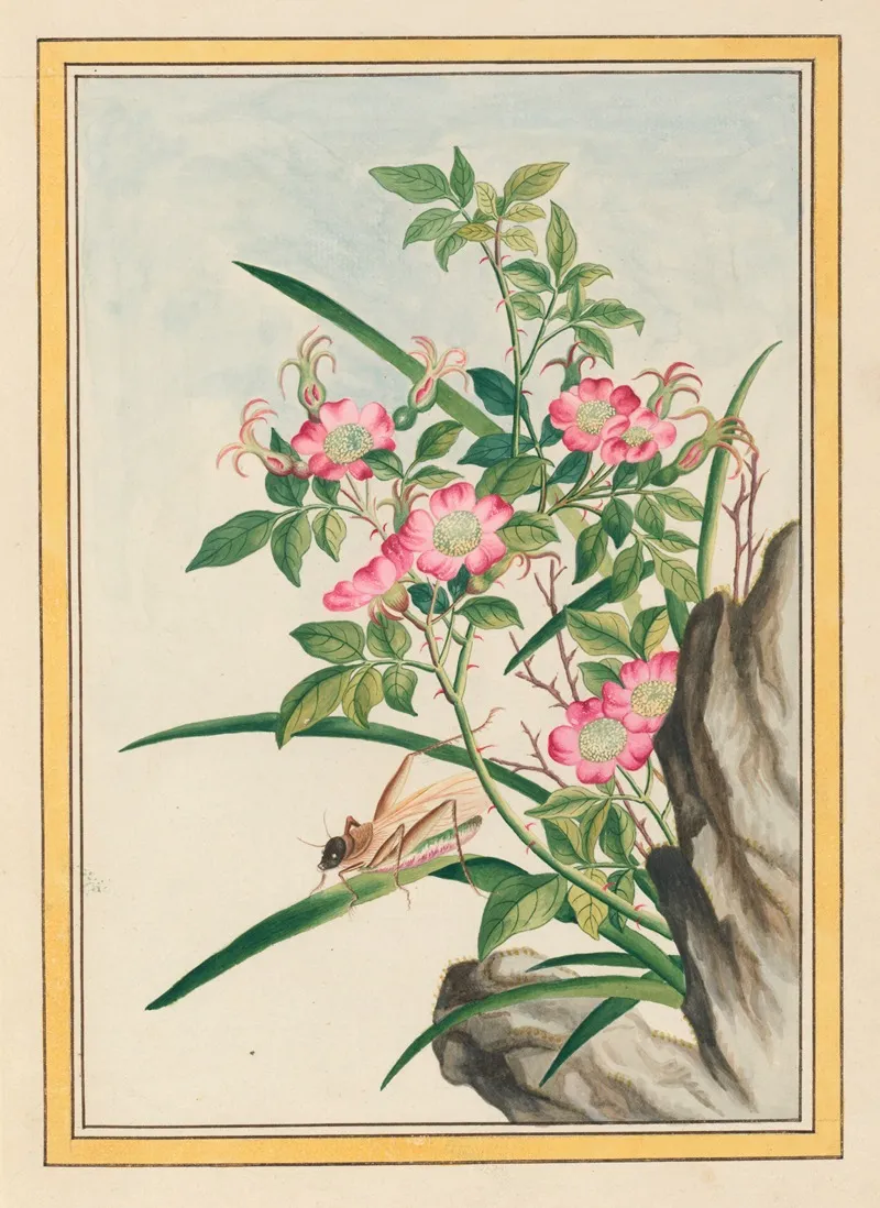 Plantes De Chine Pl 008 Wall Art by Pierre Joseph Buchoz - High-Resolution Digital Print