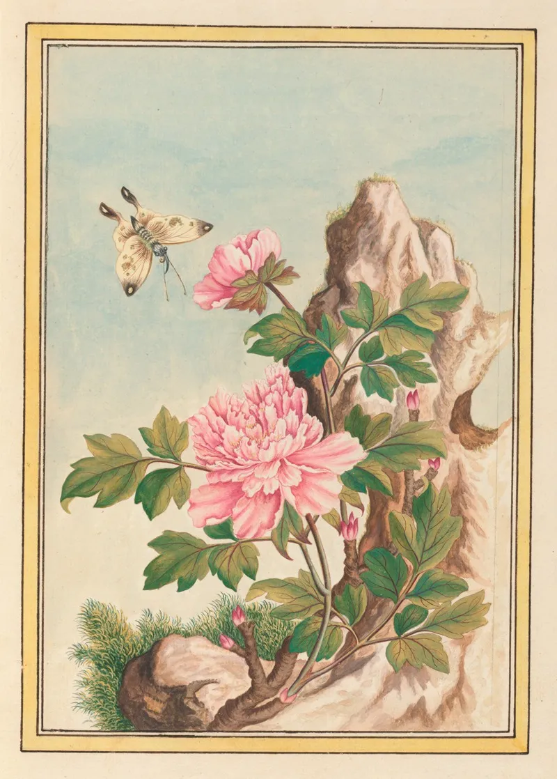 Plantes De Chine Pl 010 Wall Art by Pierre Joseph Buchoz - High-Resolution Digital Print
