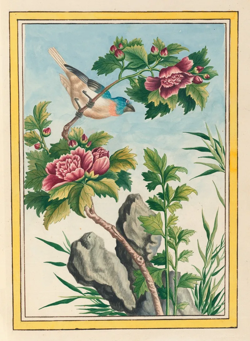 Plantes De Chine Pl 013 Wall Art by Pierre Joseph Buchoz - High-Resolution Digital Print