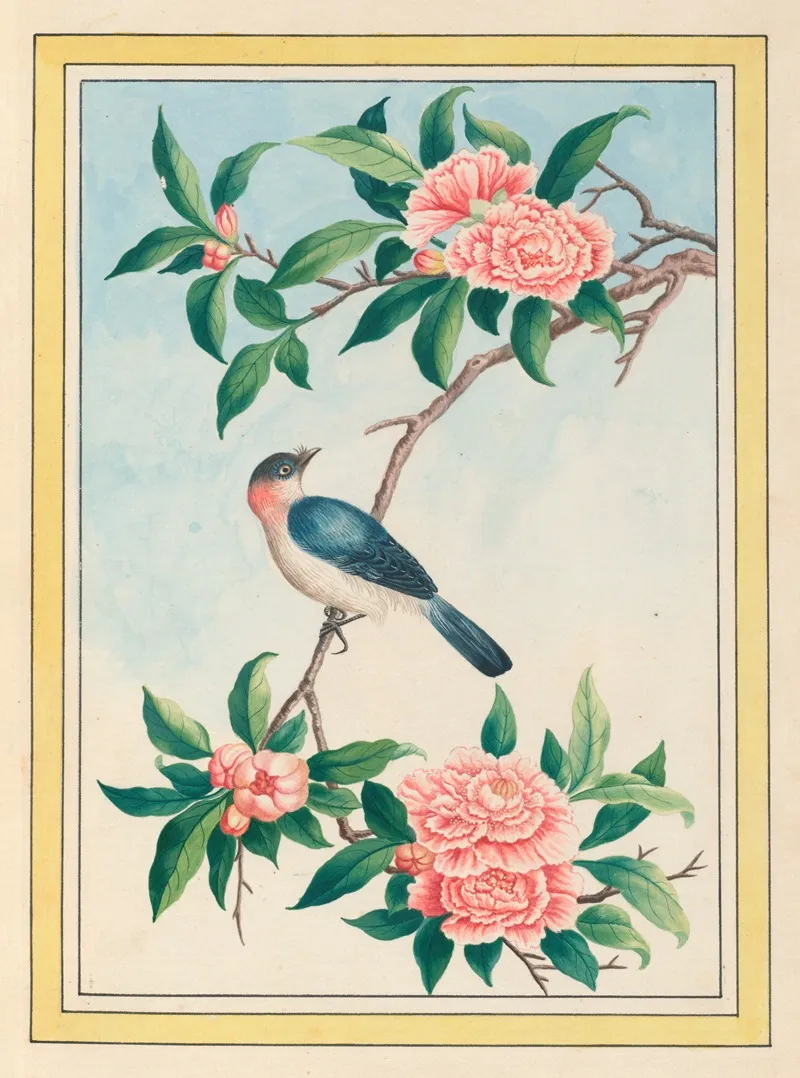 Plantes De Chine Pl 014 Wall Art by Pierre Joseph Buchoz - High-Resolution Digital Print
