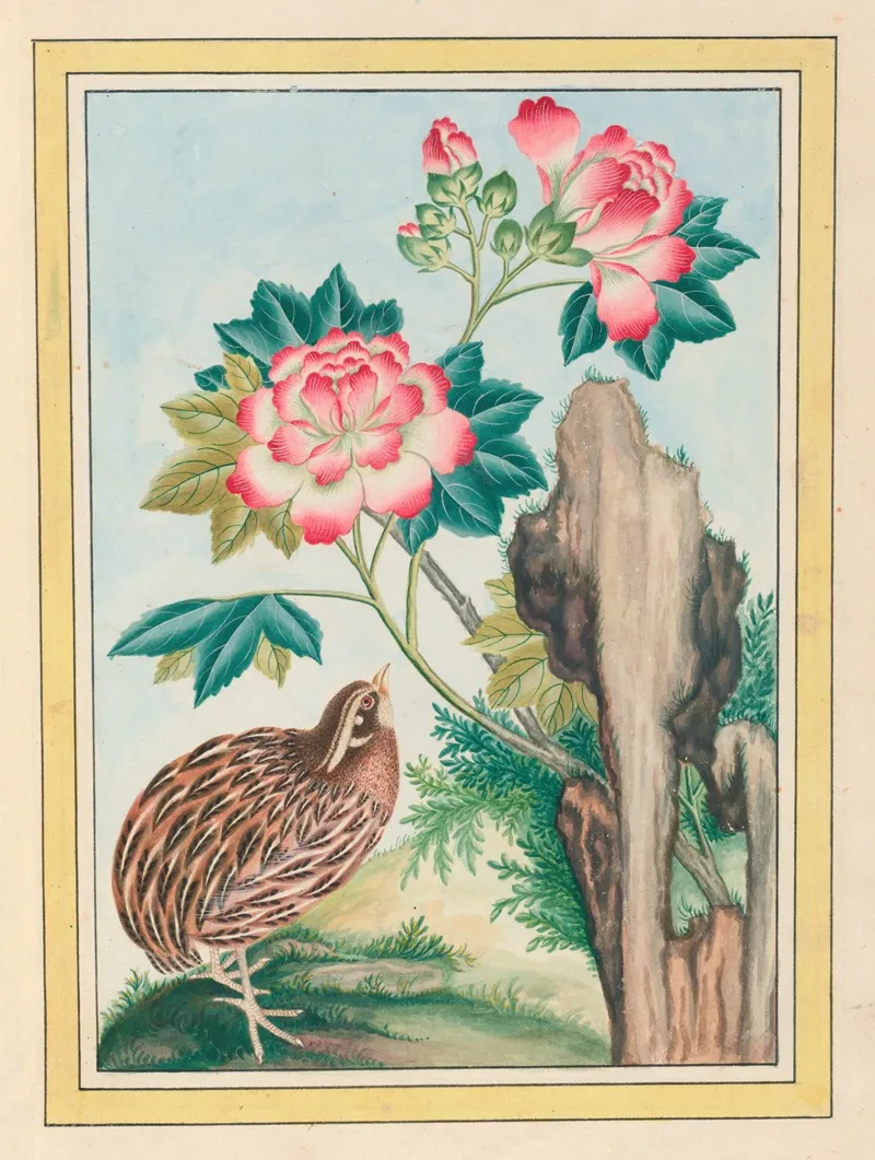 Plantes De Chine Pl 015 Wall Art by Pierre Joseph Buchoz - High-Resolution Digital Print