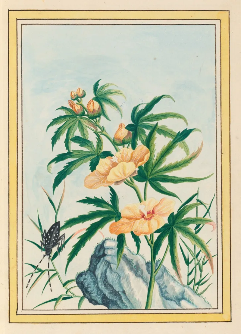 Plantes De Chine Pl 018 Wall Art by Pierre Joseph Buchoz - High-Resolution Digital Print
