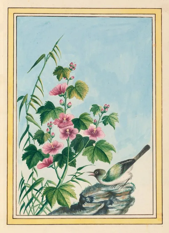 Plantes De Chine Pl 019 Wall Art by Pierre Joseph Buchoz - High-Resolution Digital Print