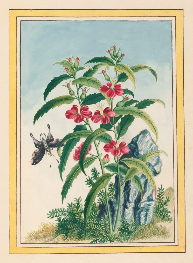 Plantes De Chine Pl 021 Wall Art by Pierre Joseph Buchoz - High-Resolution Digital Print