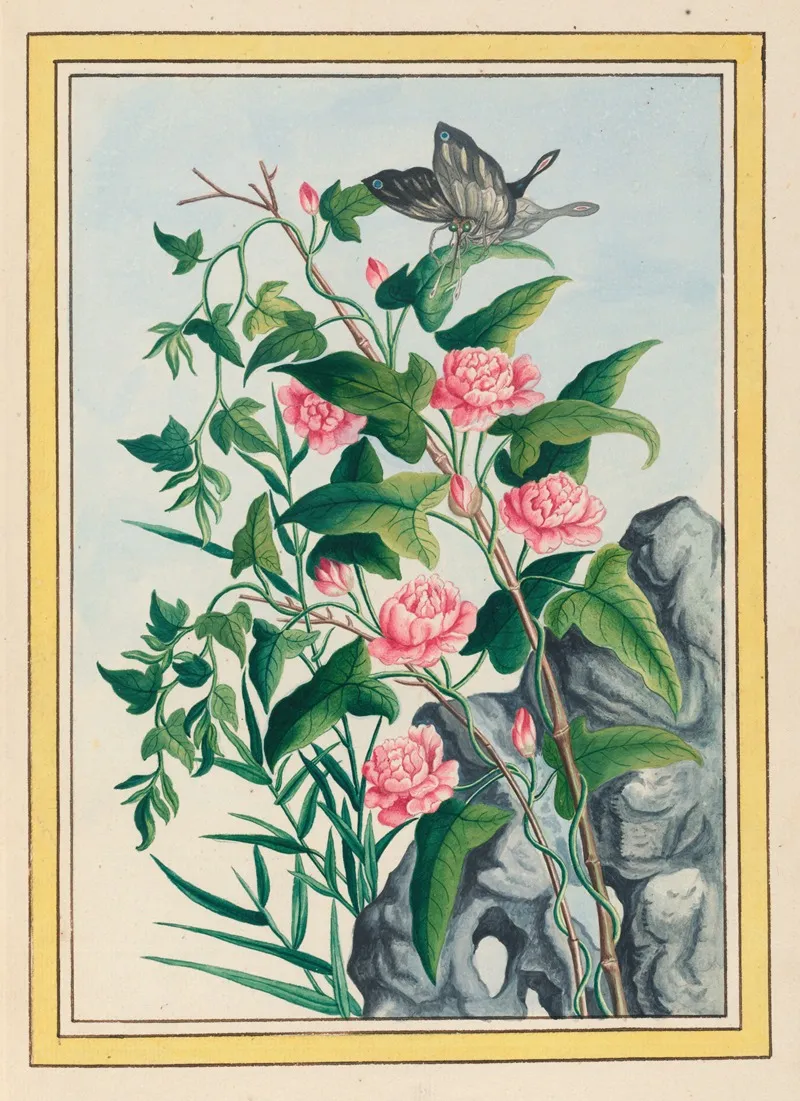 Plantes De Chine Pl 022 Wall Art by Pierre Joseph Buchoz - High-Resolution Digital Print