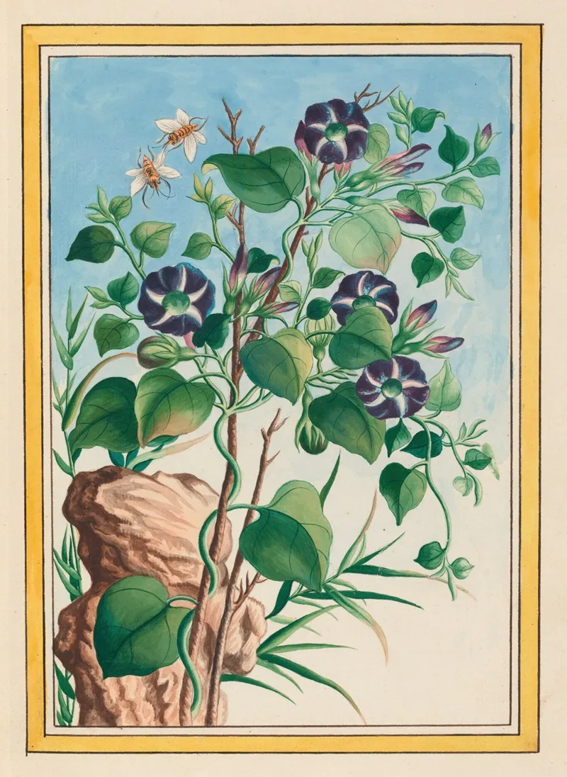 Plantes De Chine Pl 023 Wall Art by Pierre Joseph Buchoz - High-Resolution Digital Print